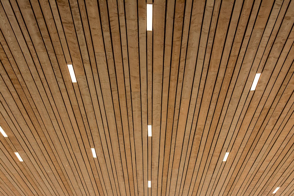 Modern Ceiling Design Ideas for Open-Concept Homes