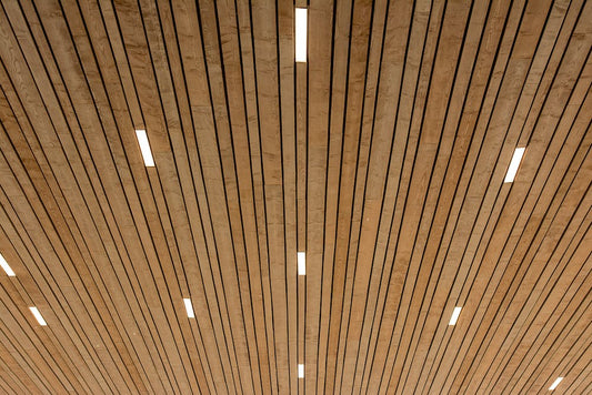 Modern Ceiling Design Ideas for Open-Concept Homes