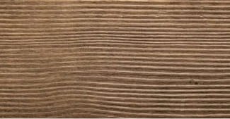Gray Bark