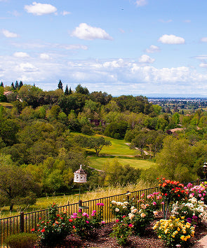 Rocklin